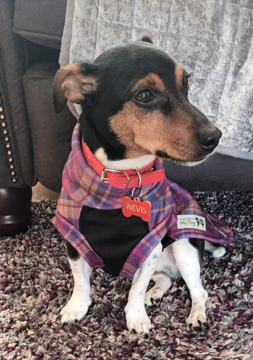 Nevis Polar Fleece - Waterproof Panel McTog Dog Jumper