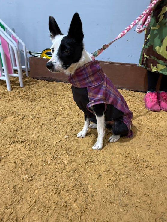 Nevis Polar Fleece - Waterproof Panel McTog Dog Jumper