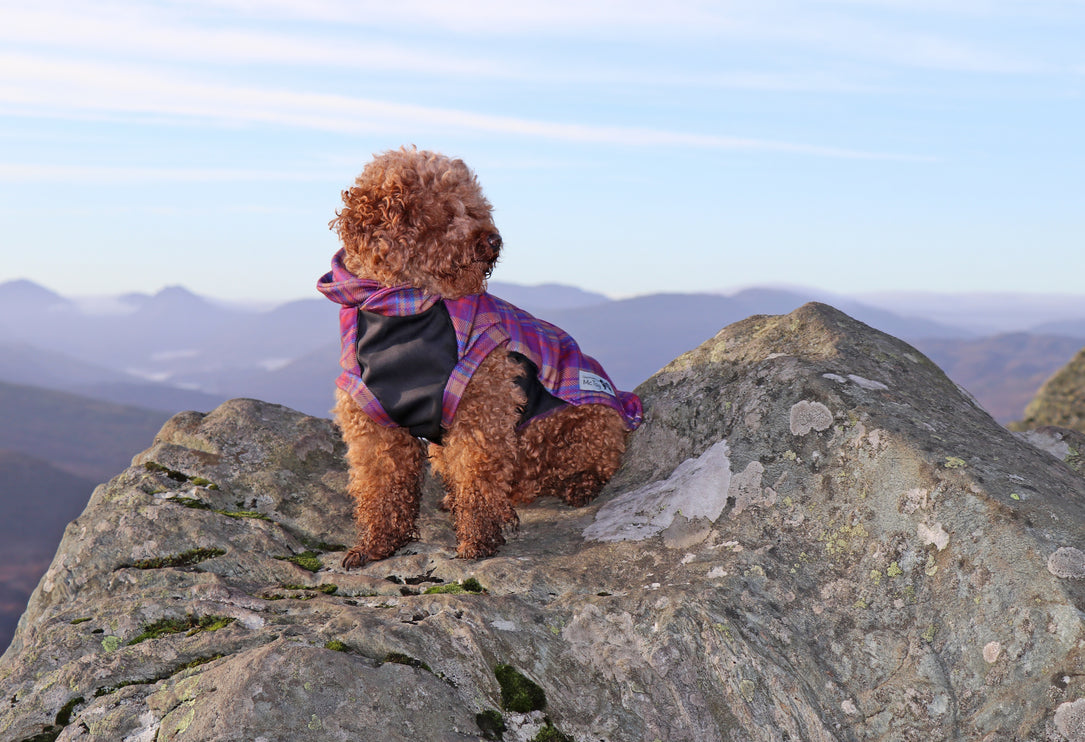 Nevis Polar Fleece - Waterproof Panel McTog Dog Jumper