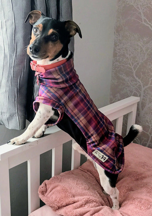 Nevis Polar Fleece - Waterproof Panel McTog Dog Jumper