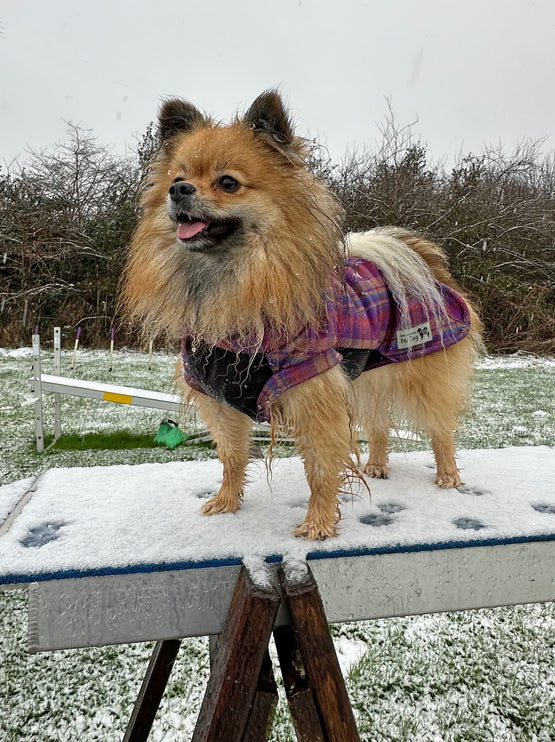 Nevis Polar Fleece - Waterproof Panel McTog Dog Jumper