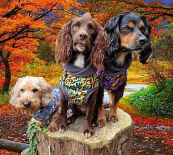Waterproof Microfleece Dog Jumper - No Sleeves