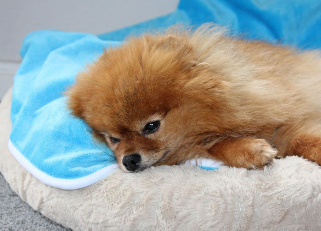 Waterproof Blankets