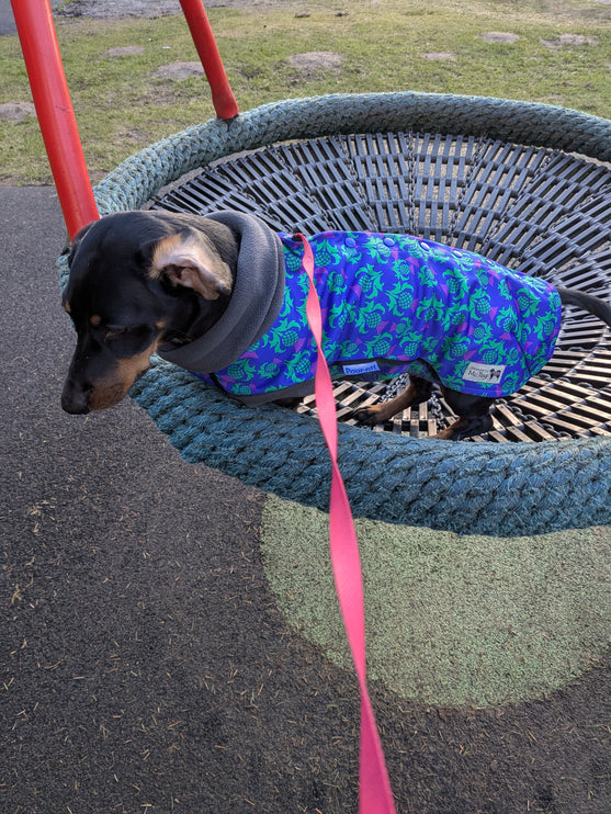 Thistle McTog - Microfleece Waterproof Dog Coat - Back Poppers