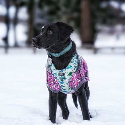 Planet Pink McTog - Microfleece Waterproof Dog Coat - Step In Poppers