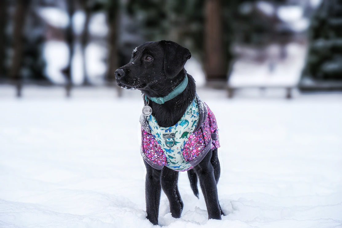 Planet Pink McTog - Microfleece Waterproof Dog Coat - Step In Poppers