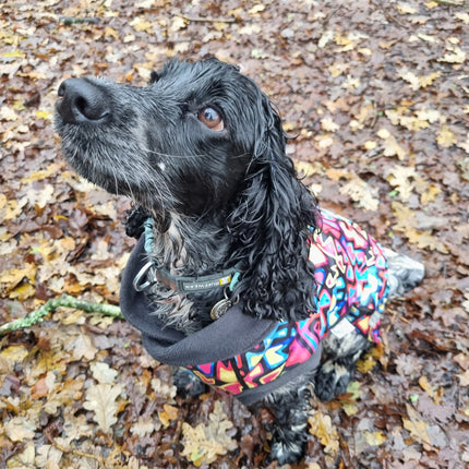Graffiti McTog - Microfleece Waterproof Dog Sweater