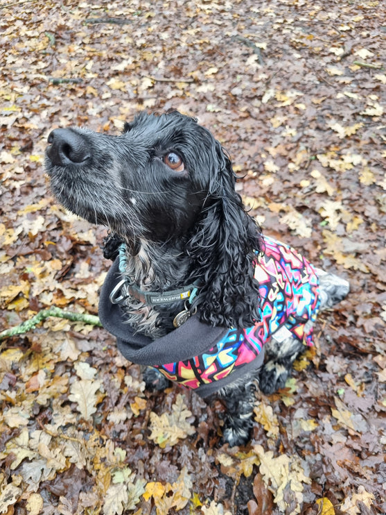 Graffiti McTog - Microfleece Waterproof Dog Sweater