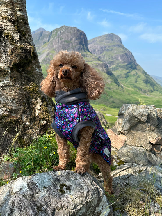 Bubbalicious McTog - Waterproof Microfleece Dog Sweater - Back Poppers