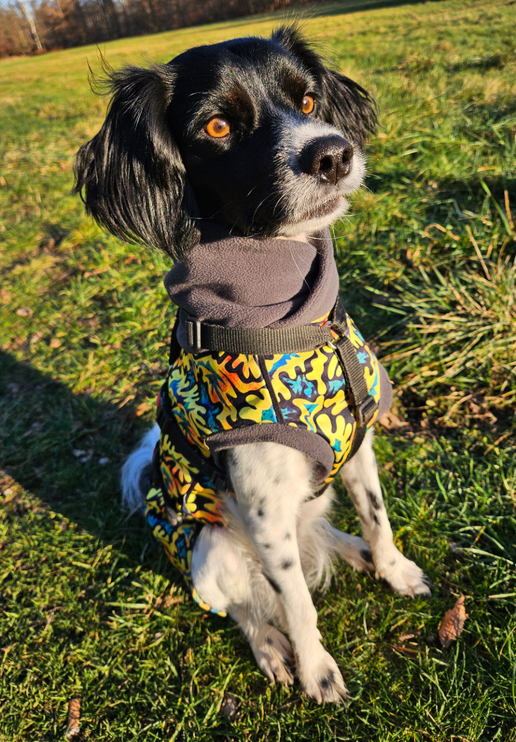 Zulu McTog - Microfleece Waterproof Dog Jumper - SALE