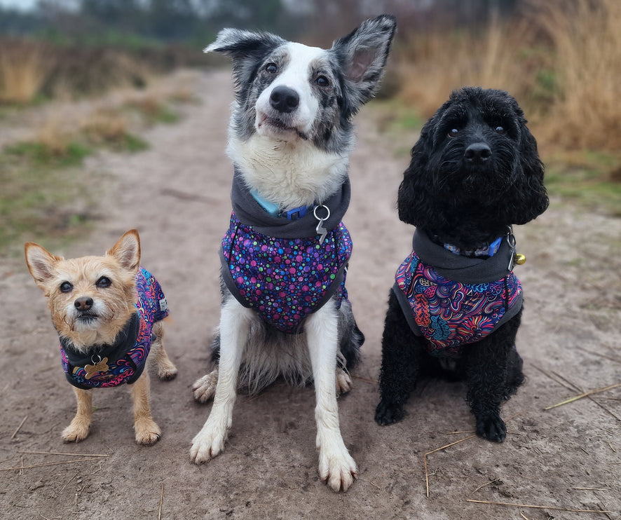 Bubbalicious McTog - Waterproof Microfleece Dog Sweater - Back Poppers