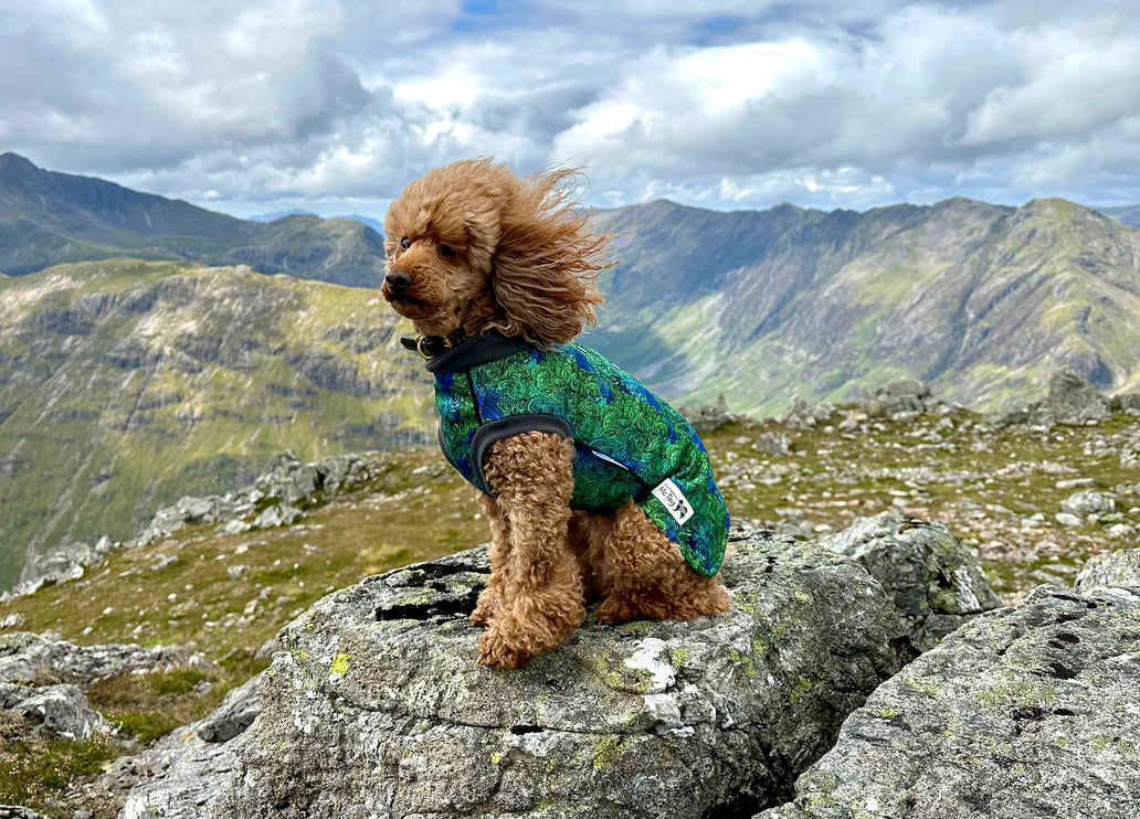 Spellbound McTog - Microfleece Waterproof Jumper - Step In Poppers - Size 3D & 6 left