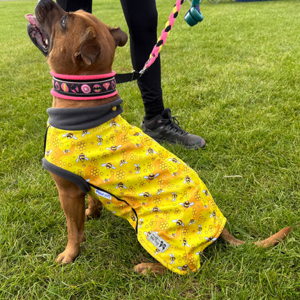 The Bee's Knees McTog - Microfleece Waterproof Dog Jacket - Step In Poppers