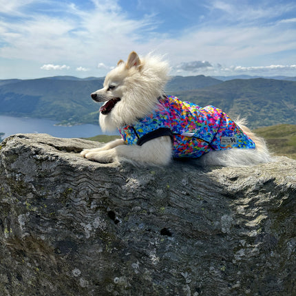 Razzle Dazzle McTog - Waterproof Microfleece Dog Jumper - Step In Poppers