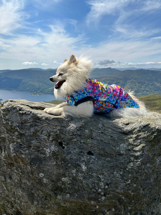 Razzle Dazzle McTog - Microfleece Waterproof Dog Sweater - Step In Poppers