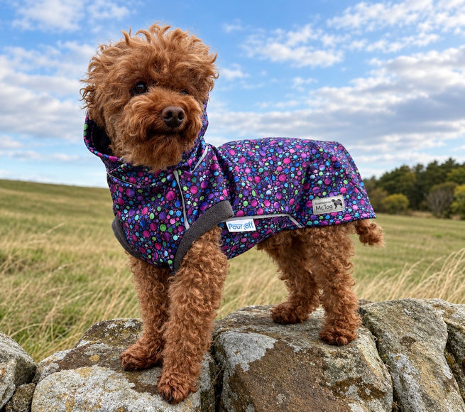 Bubblicious McTog - High Neck Full Poppers - Pour Off ® Microfleece Waterproof Dog Coat