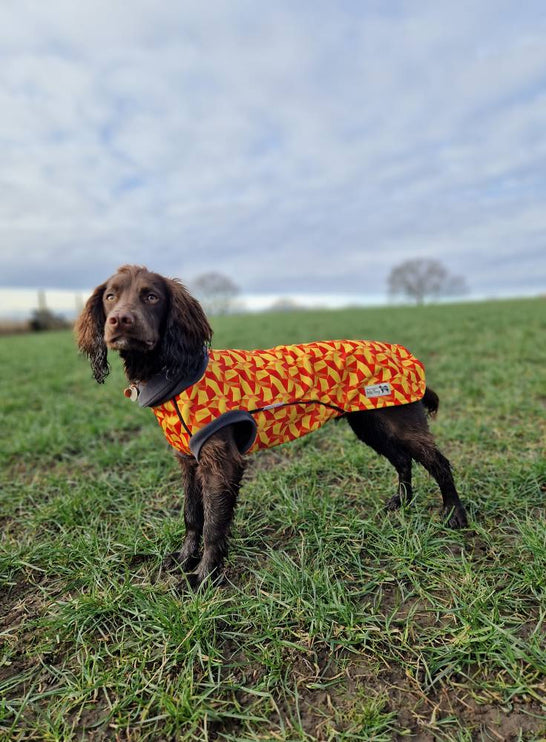 Trailblazer McTog - Microfleece Waterproof Dog Jumper
