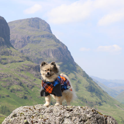 The Highlander McTog Dog Jumper - With Sleeves - Step In Poppers