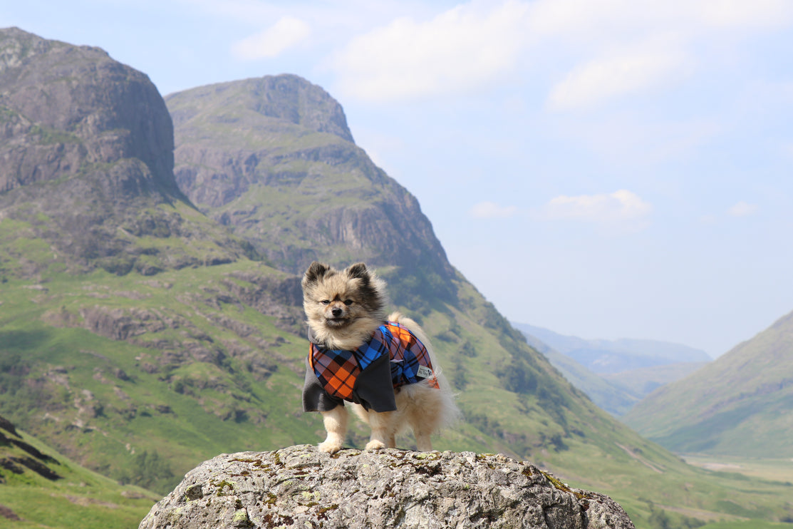 The Highlander McTog - Microfleece Waterproof Dog Jumper - With Sleeves - Step In Poppers