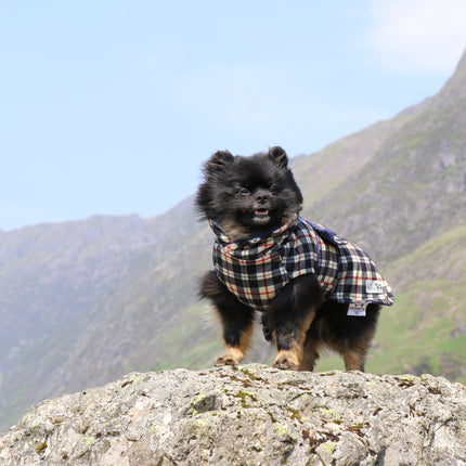 Harris Tartan McTog Drying Coat - Only Sizes 0 & 2 left