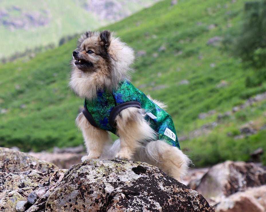 Spellbound McTog - Microfleece Waterproof Jumper - Step In Poppers - Size 3D & 6 left