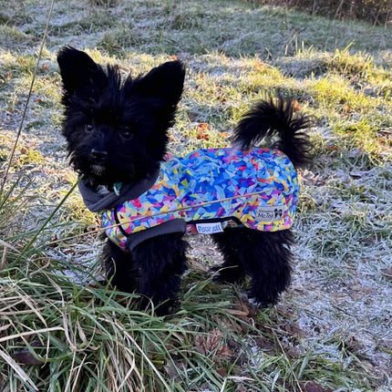 Razzle Dazzle McTog - Microfleece Waterproof Dog Sweater - Step In Poppers