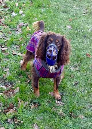 Nevis McTog - Microfleece Waterproof Dog Coat - Step In Poppers