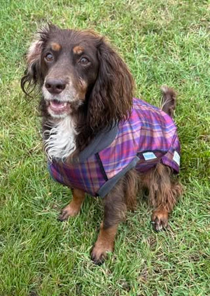 Nevis McTog - Microfleece Waterproof Dog Coat - Step In Poppers