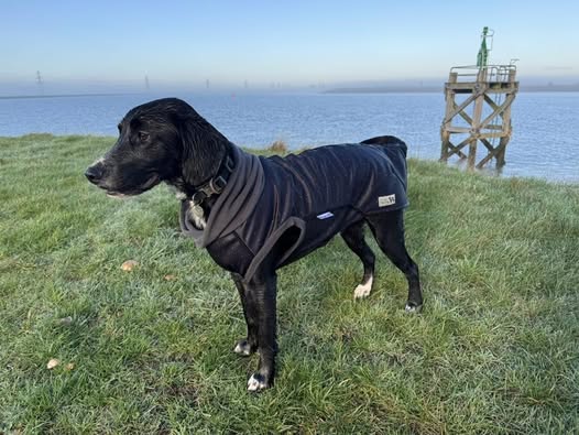 Starlight McTog - Microfleece Waterproof Dog Coat - Back Poppers