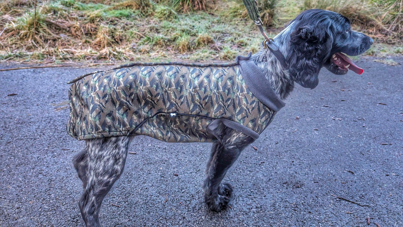 Earth Echo McTog - Microfleece Waterproof Dog Jumper - Step In Poppers