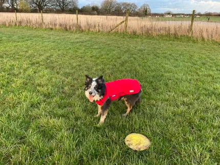 Racing Red McTog - Double Layer Microfleece Waterproof Dog Coat - Step In Poppers