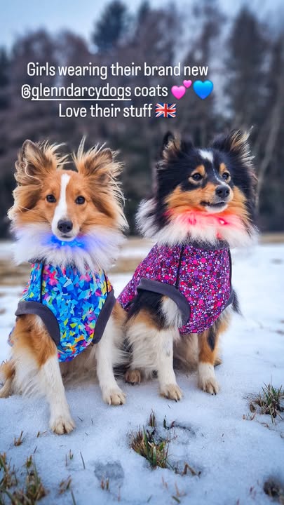 Planet Pink McTog - Microfleece Waterproof Dog Coat - Step In Poppers