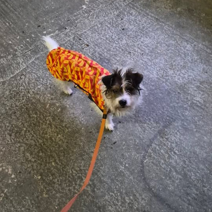 Trailblazer McTog - Microfleece Waterproof Dog Jumper - Step In Poppers - 0 and 5 Slim left