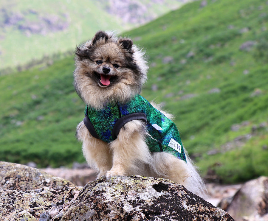 Spellbound McTog - Microfleece Waterproof Jumper - Step In Poppers - Size 3D & 6 left