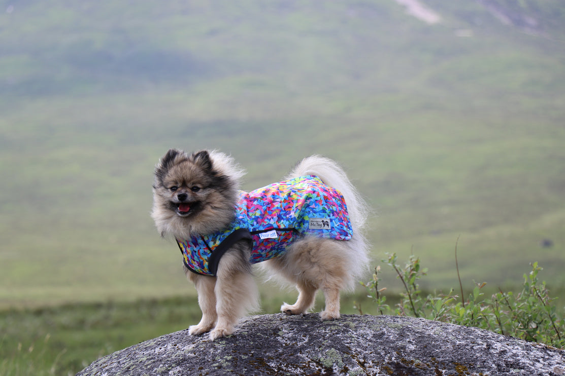 Razzle Dazzle McTog - Microfleece Waterproof Dog Sweater - Step In Poppers