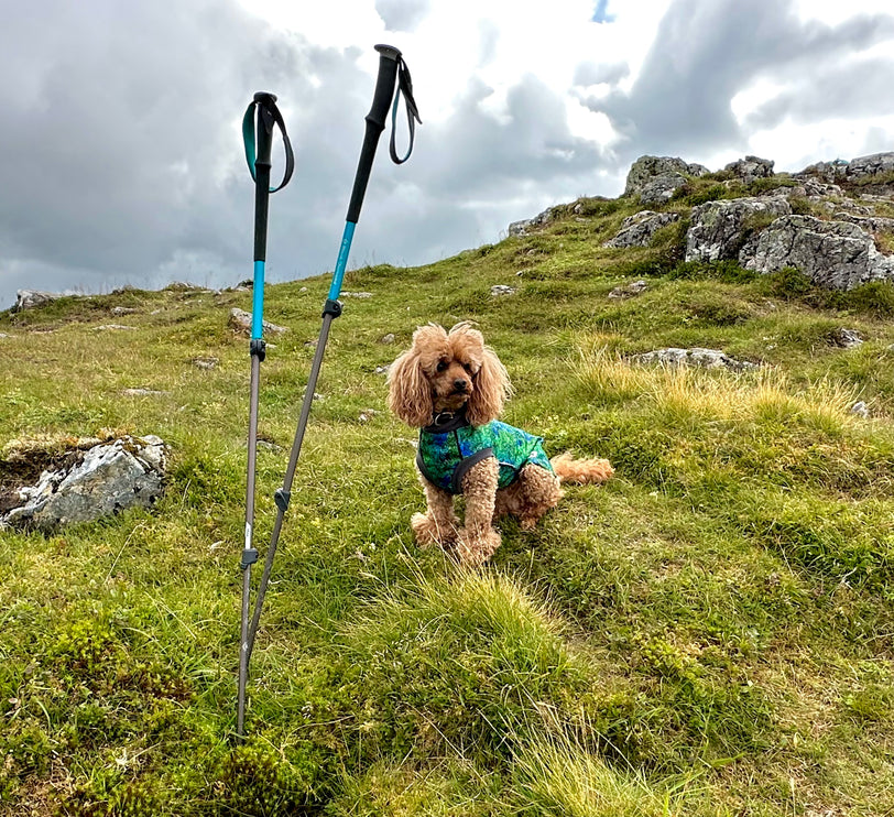 Spellbound McTog - Microfleece Waterproof Jumper - Step In Poppers - Size 3D & 6 left