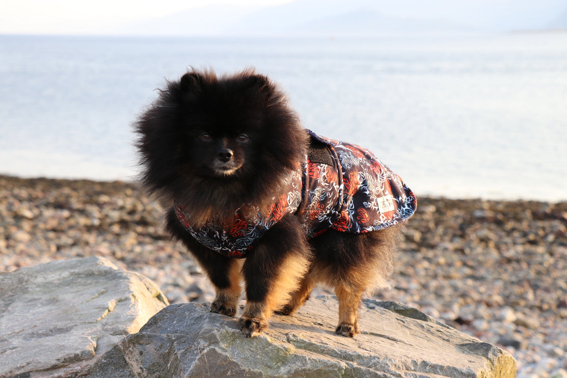 Rebel Heart McTog Drying Coat - Only Sizes 0 & 5 left