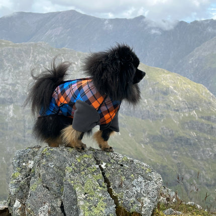 The Highlander McTog Dog Jumper - With Sleeves - Step In Poppers