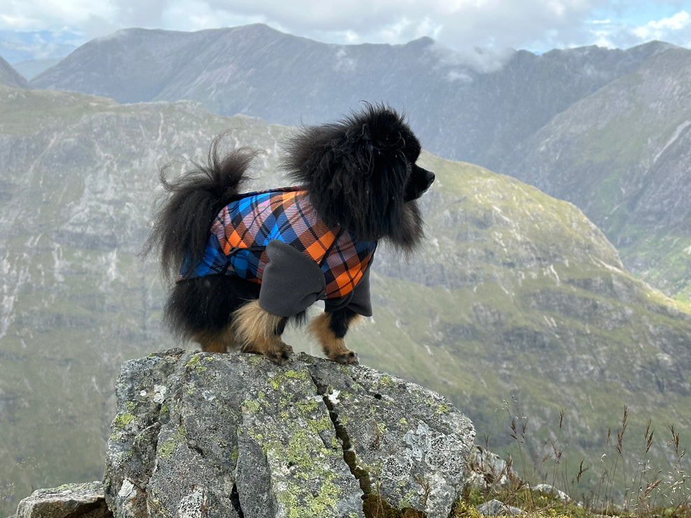 The Highlander McTog - Microfleece Waterproof Dog Jumper - With Sleeves - Step In Poppers