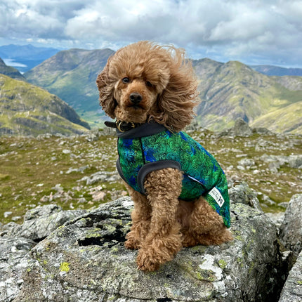 Spellbound McTog - Waterproof Microfleece Jumper - Step In Poppers - Size 3D, 4 & 6 left