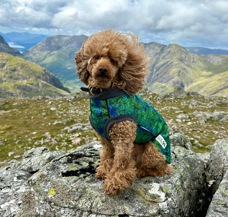 Spellbound McTog - Microfleece Waterproof Jumper - Step In Poppers - Size 3D & 6 left