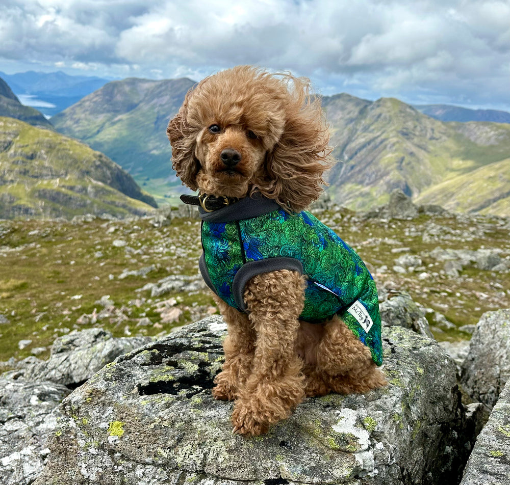 
            
                Load image into Gallery viewer, Spellbound Waterproof Microfleece McTog Dog Jumper - Full Poppers Step In
            
        