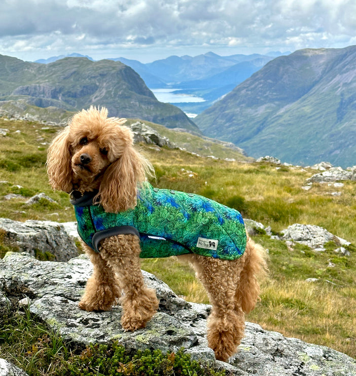 Spellbound McTog - Microfleece Waterproof Jumper - Step In Poppers - Size 3D & 6 left