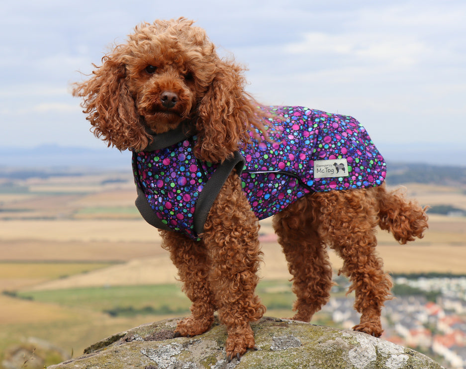 Bubbalicious McTog - Waterproof Microfleece Dog Sweater - Back Poppers