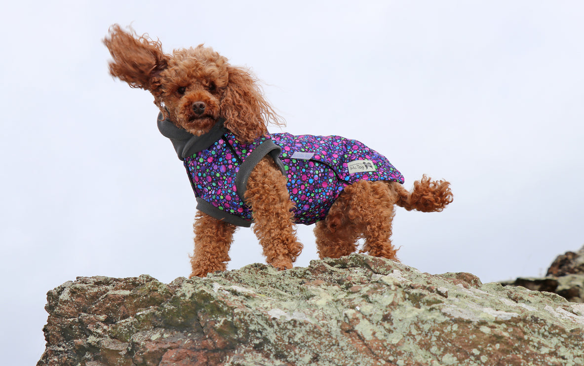 Bubbalicious McTog - Waterproof Microfleece Dog Sweater - Back Poppers