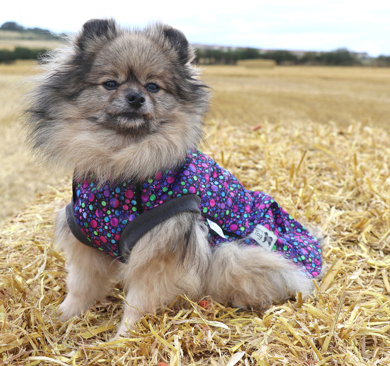 Bubbalicious McTog - Waterproof Microfleece Dog Sweater - Back Poppers