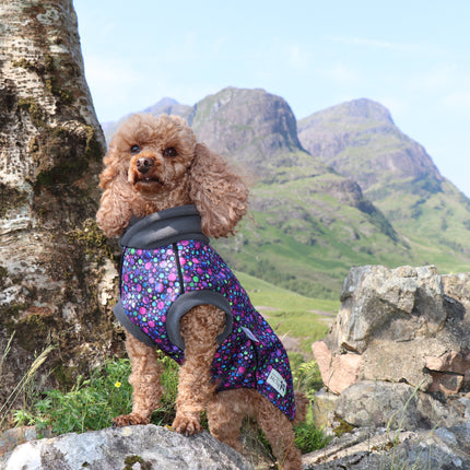 Bubbalicious McTog - Waterproof Microfleece Dog Sweater - Back Poppers