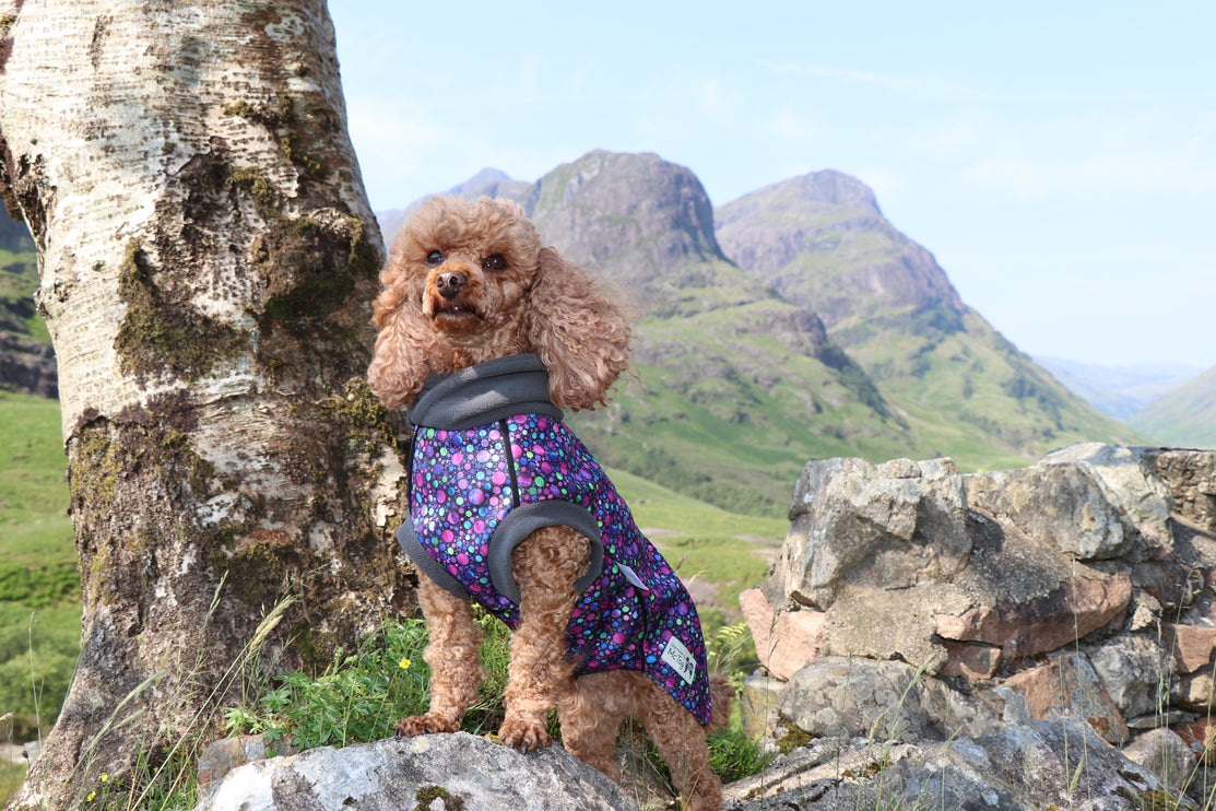 Bubbalicious McTog - Microfleece Waterproof Dog Sweater - Back Poppers