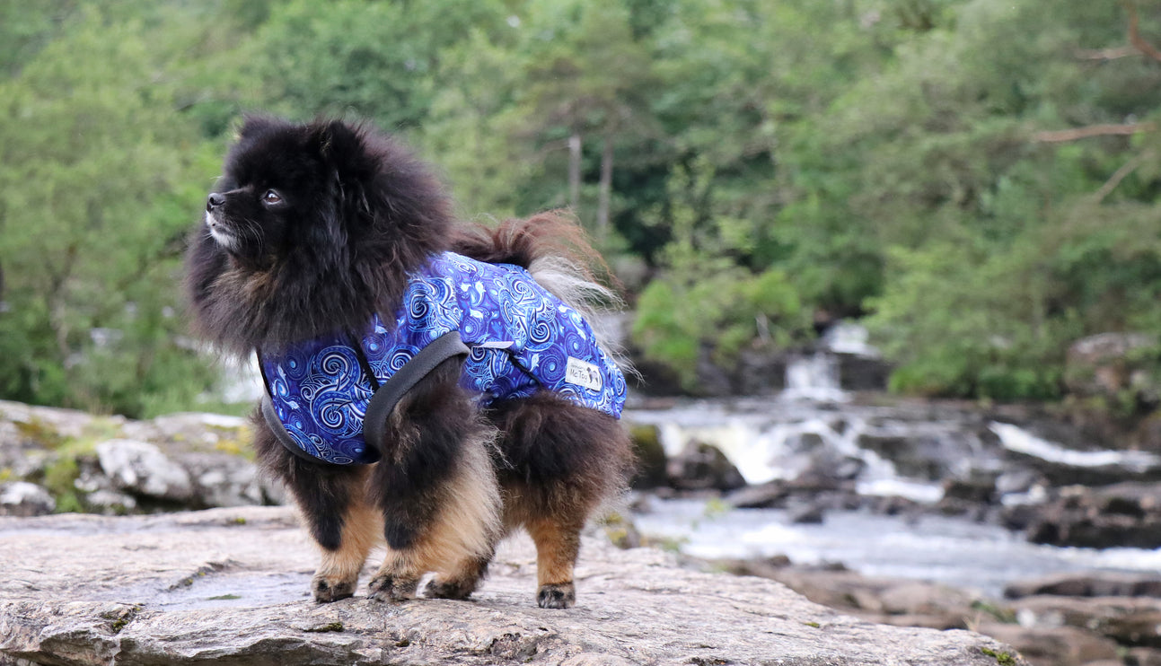 Destiny McTog - Microfleece Waterproof Dog Jumper - Step In Poppers