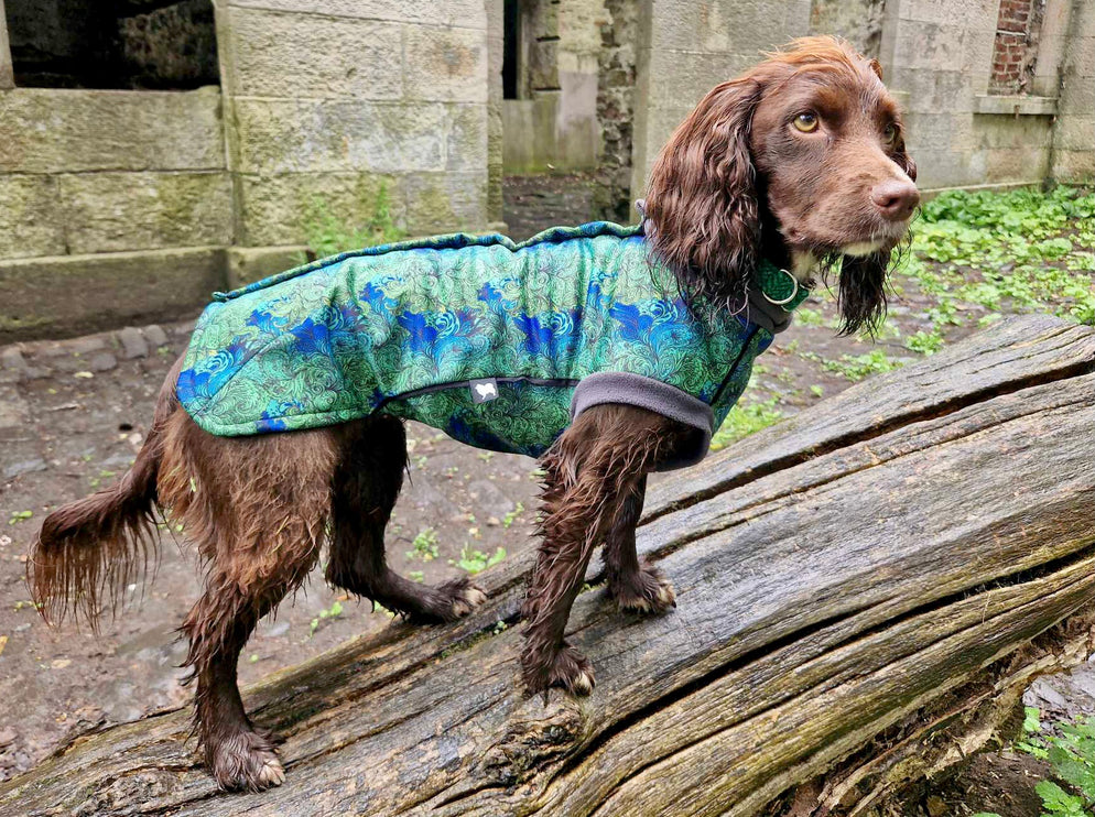 Spellbound McTog - Microfleece Waterproof Jumper - Step In Poppers - Size 3D & 6 left